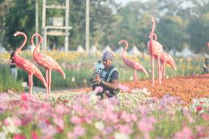 BIB: 
                            <button type="button" onclick="openModal(27344093)" class="btn btn-primary btn-sm float-right btn-popup" data-toggle="modal" data-target=".modal-high-quality">
                        <i class="fas fa-shopping-cart"></i> Add to Cart
                    </button>
                                            <button type="button" onclick="isThisMe(27344093, true)" class="btn btn-success btn-sm float-right btn-popup btn-isme hidden" data-toggle="tooltip" data-placement="bottom" title="นี่คือรูปของคุณใช่ไหม คลิกที่นี่เพื่อเอาเข้าอัลบั้ม">
                        <i class="fas fa-plus"></i> Add to album
                    </button>
                    <button type="button" onclick="isThisMe(27344093, false)" class="btn btn-warning btn-sm float-right btn-popup btn-isnotme hidden">
                        <i class="fas fa-ban"></i> Remove from album
                    </button>